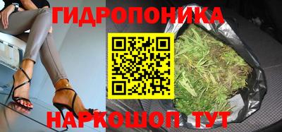 стафф Можга