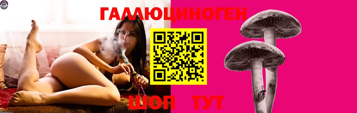 Будённовск  Галлюциногенные грибы GOLDEN TEACHER  Псилоцибиновые грибы MAGIC MUSHROOMS  Вход с VPN 